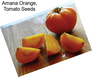 Amana Orange, Tomato Seeds