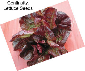 Continuity, Lettuce Seeds