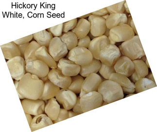 Hickory King White, Corn Seed