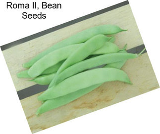 Roma II, Bean Seeds