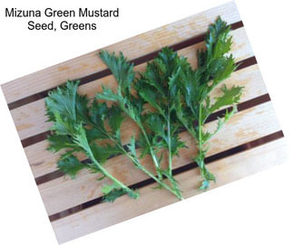 Mizuna Green Mustard Seed, Greens