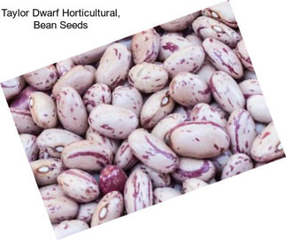 Taylor Dwarf Horticultural, Bean Seeds