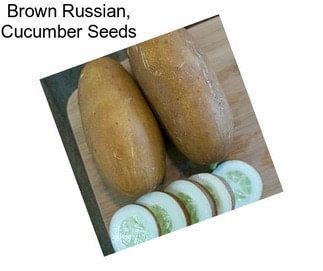 Brown Russian, Cucumber Seeds