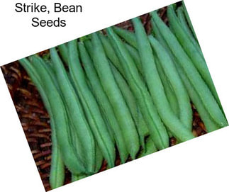 Strike, Bean Seeds