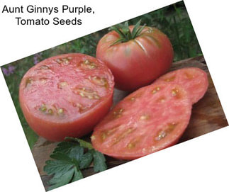 Aunt Ginnys Purple, Tomato Seeds
