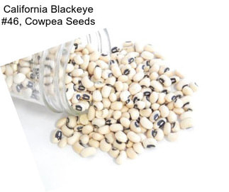 California Blackeye #46, Cowpea Seeds