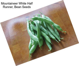 Mountaineer White Half Runner, Bean Seeds