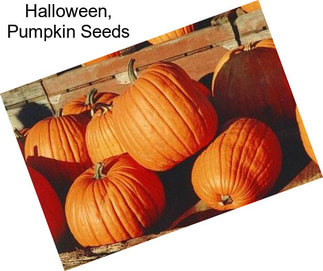 Halloween, Pumpkin Seeds