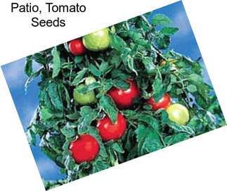 Patio, Tomato Seeds