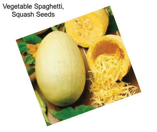 Vegetable Spaghetti, Squash Seeds