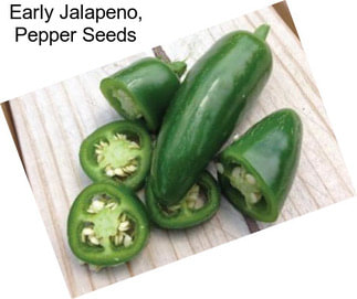 Early Jalapeno, Pepper Seeds