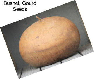 Bushel, Gourd Seeds