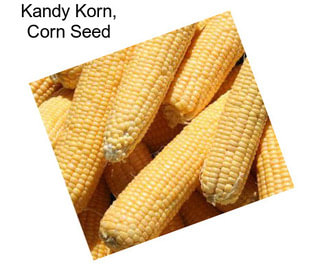 Kandy Korn, Corn Seed