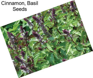 Cinnamon, Basil Seeds