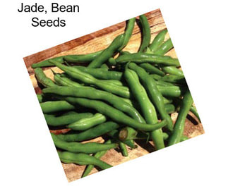 Jade, Bean Seeds