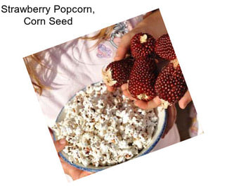 Strawberry Popcorn, Corn Seed