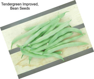 Tendergreen Improved, Bean Seeds