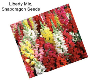 Liberty Mix, Snapdragon Seeds