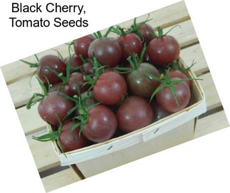 Black Cherry, Tomato Seeds