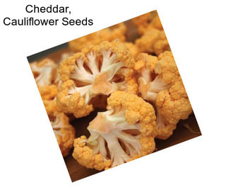 Cheddar, Cauliflower Seeds