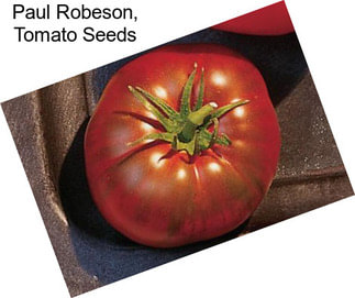 Paul Robeson, Tomato Seeds