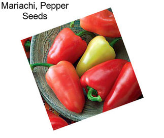 Mariachi, Pepper Seeds