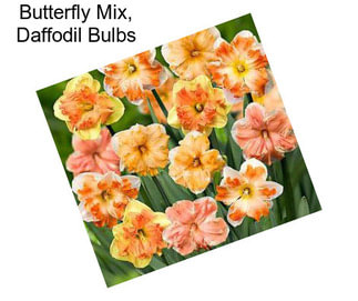 Butterfly Mix, Daffodil Bulbs