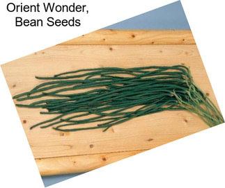 Orient Wonder, Bean Seeds