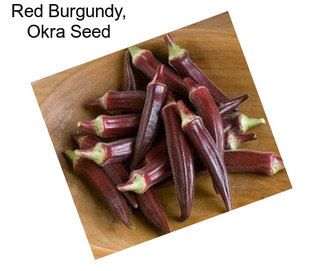 Red Burgundy, Okra Seed