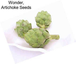Wonder, Artichoke Seeds