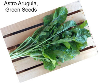 Astro Arugula, Green Seeds