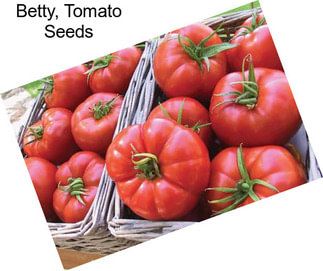 Betty, Tomato Seeds