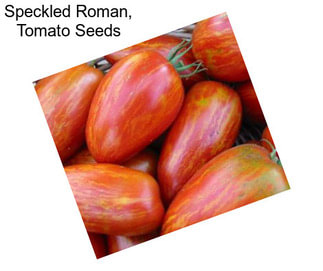 Speckled Roman, Tomato Seeds