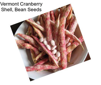 Vermont Cranberry Shell, Bean Seeds