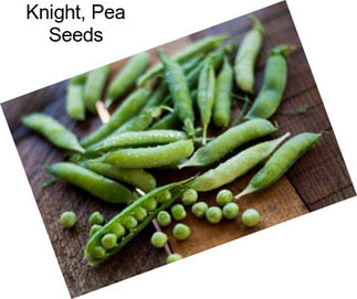 Knight, Pea Seeds