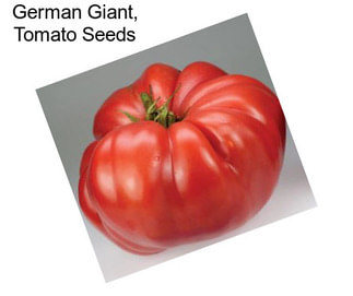 German Giant, Tomato Seeds