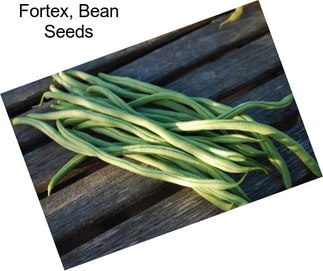 Fortex, Bean Seeds