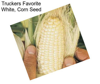 Truckers Favorite White, Corn Seed