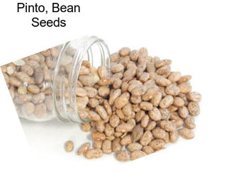 Pinto, Bean Seeds