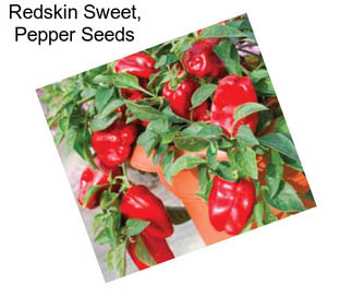 Redskin Sweet, Pepper Seeds