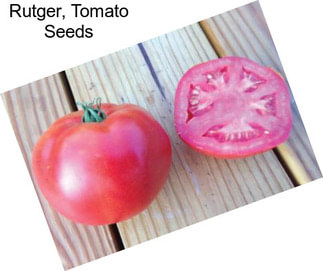 Rutger, Tomato Seeds