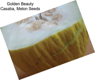 Golden Beauty Casaba, Melon Seeds