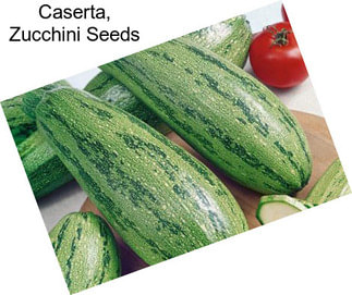 Caserta, Zucchini Seeds