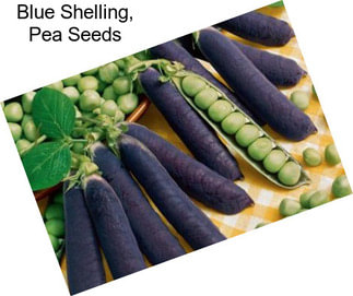 Blue Shelling, Pea Seeds