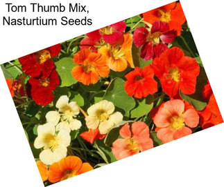 Tom Thumb Mix, Nasturtium Seeds