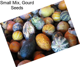 Small Mix, Gourd Seeds