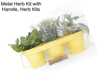 Metal Herb Kit with Handle, Herb Kits