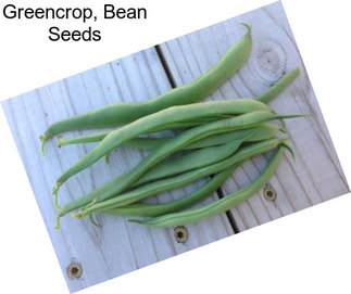 Greencrop, Bean Seeds