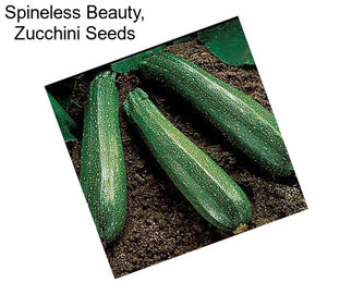 Spineless Beauty, Zucchini Seeds