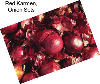 Red Karmen, Onion Sets